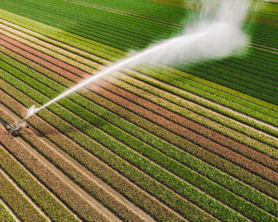Sistemele de irigații: Ghidul complet pentru agricultori