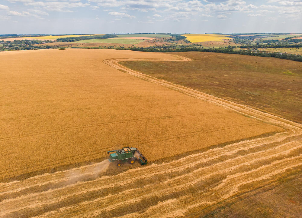 Cum se adaptează industria agricolă pentru un viitor mai verde?