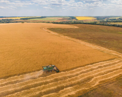 Cum se adaptează industria agricolă pentru un viitor mai verde?