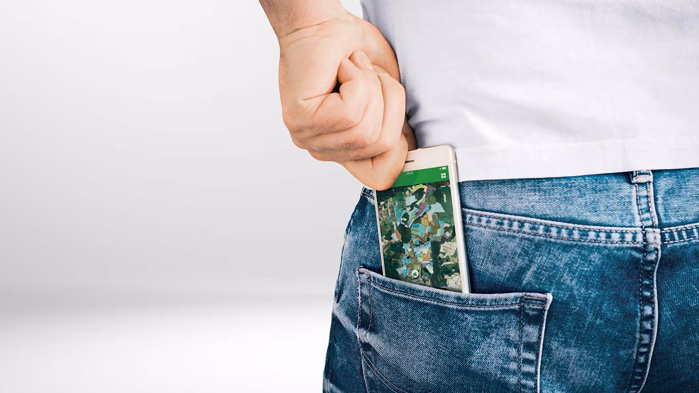 Sisteme management integrate IPSO